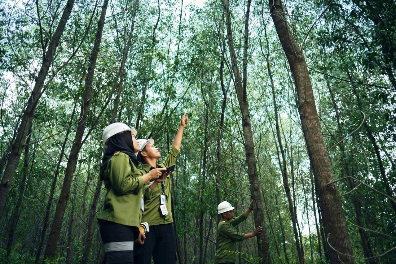 Contoh Soal Penyuluh Kehutanan & Pengendali Ekosistem Hutan untuk PPPK & CPNS