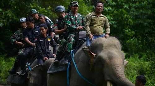 contoh-soal-polisi-kehutanan-untuk-CPNS-&-PPPK